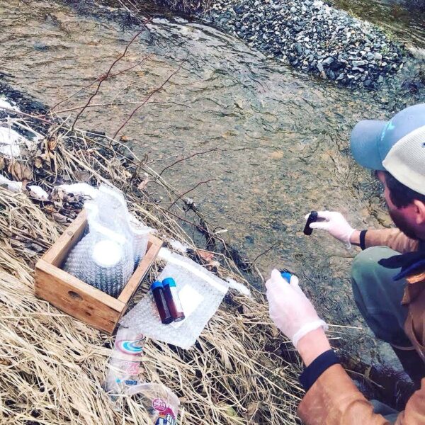 volunteers monitoring