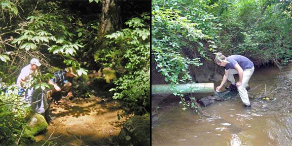 volunteers monitoring