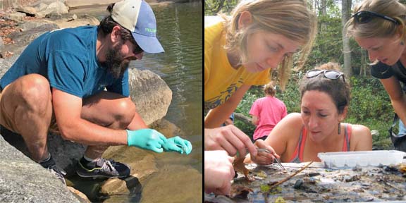 volunteers monitoring