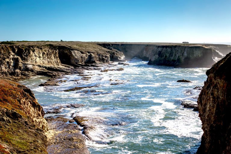 Environmental Monitor | Diversity Dominates at Mendocino College’s