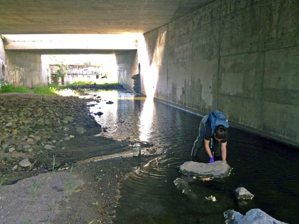 pollution studies