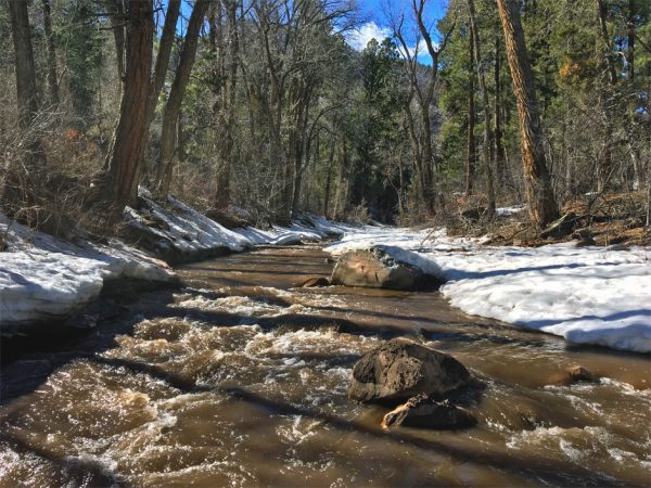 Animas River