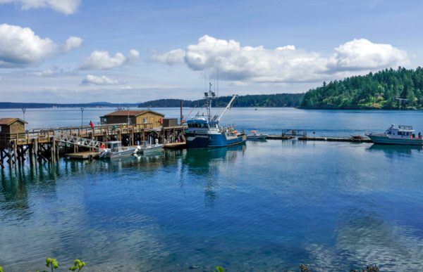 Friday Harbor Laboratories