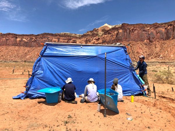 Canyonlands research