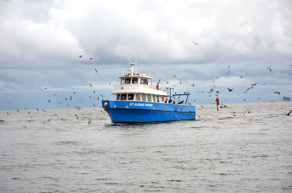 Dauphin Island