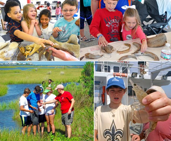 Dauphin Island