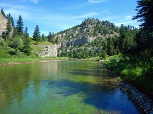 smith river algae