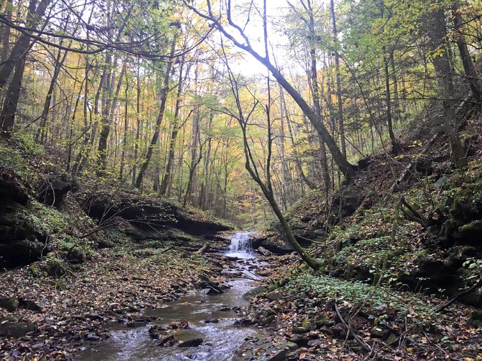 Appalachian Streams mining recovery