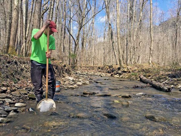 Appalachian streams