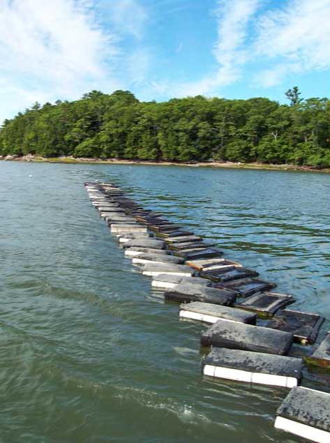 oyster buoy