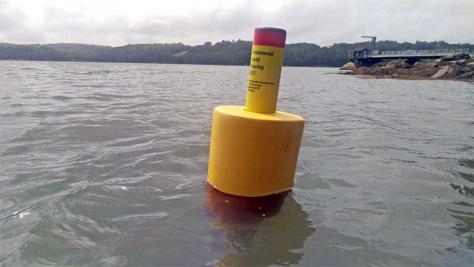 oyster buoy