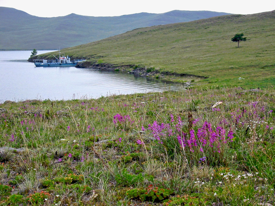 Changing ancient lakes