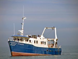 Erie’s Hypoxia and Yellow Perch