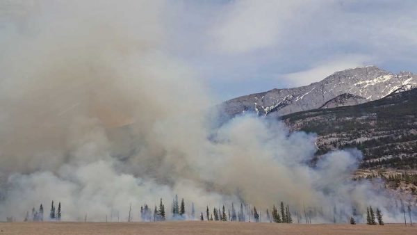 wildfire smoke