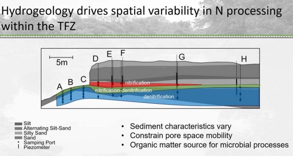 tidal freshwater nitrogen