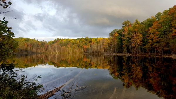 Michigan Lakes