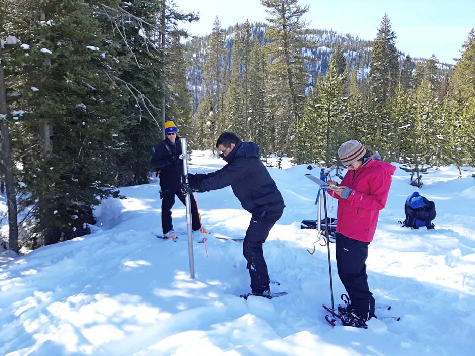 snow survey