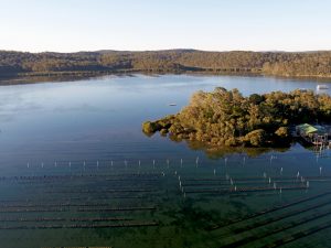 iot aquaculture