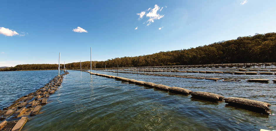 iot aquaculture