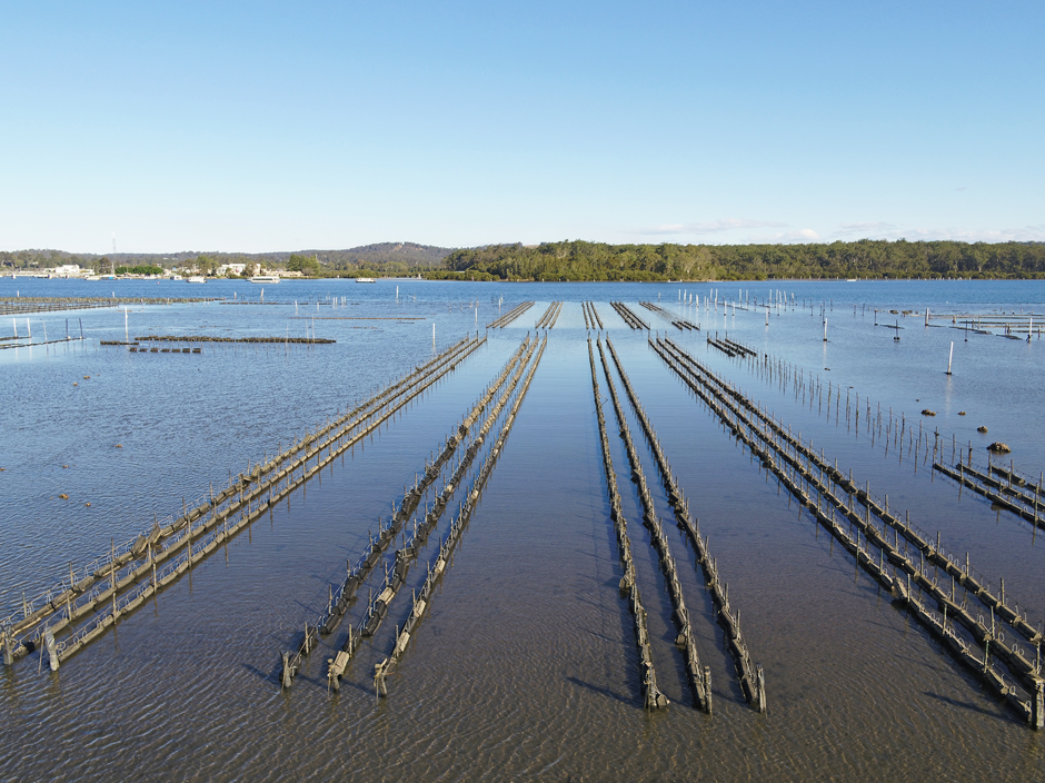 iot aquaculture