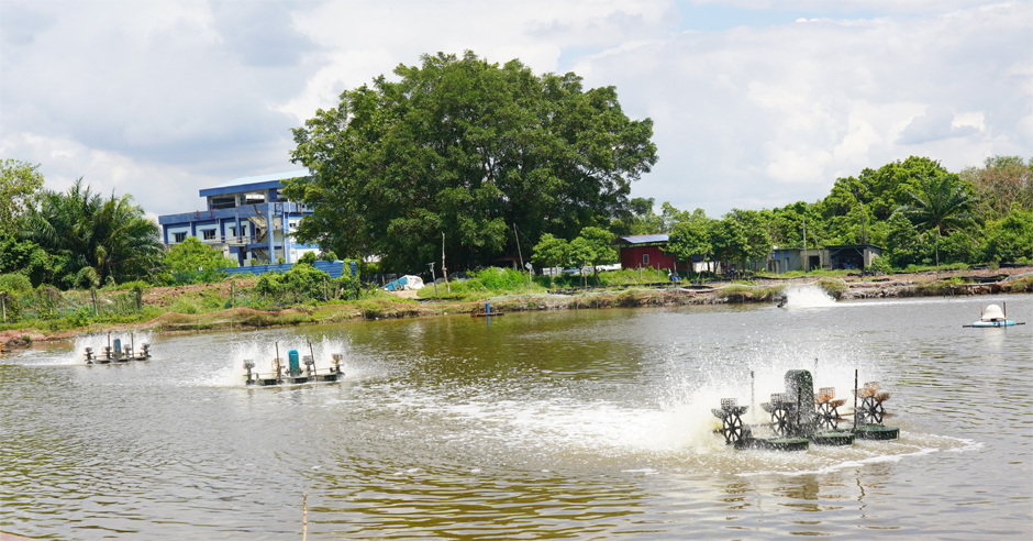 iot aquaculture