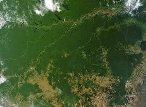 Picture of the Amazon rainforest from space. The discolored areas are agricultural areas or the result of deforestation and wildfire damages
