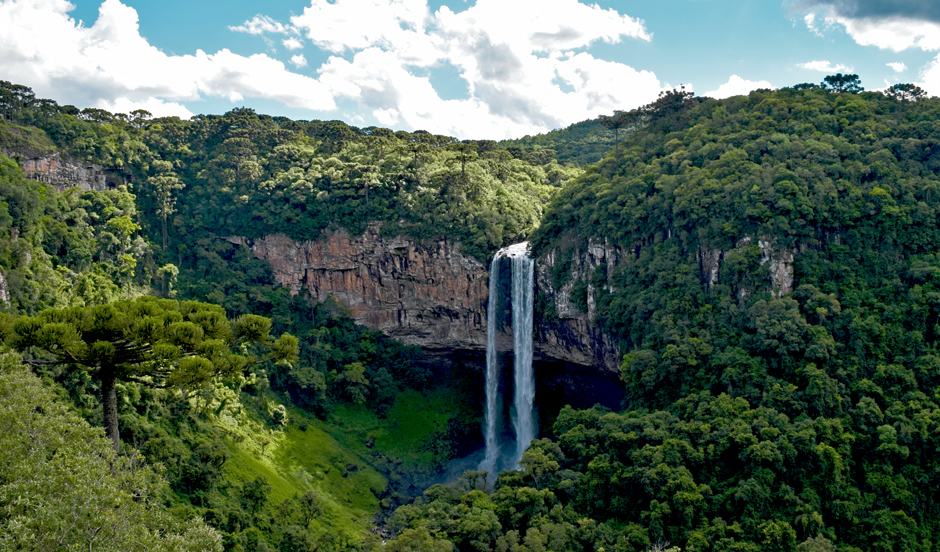 Gramado, Rio Grande do Sul, Brazil. A healthy section of the Amazon rainforest. Fast-growing grasses are visible near the waterfall.