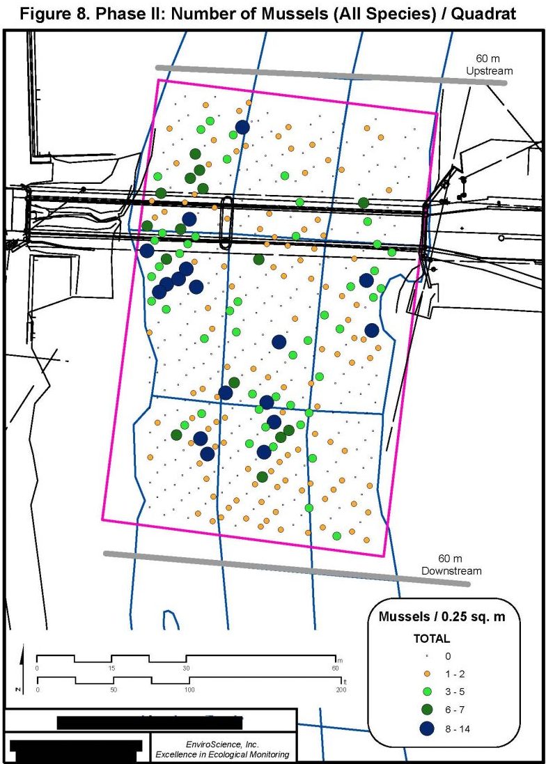 map indicating the boundaries of a mussel survey