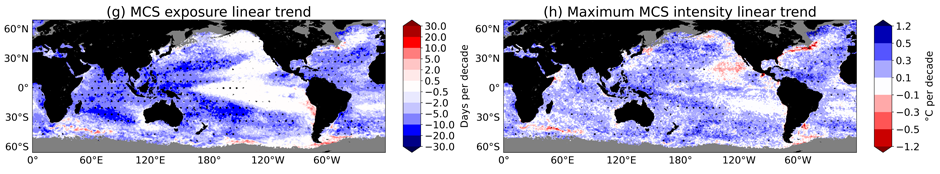 satellite images of ocean heat waves/cold spells (marine cold spells)