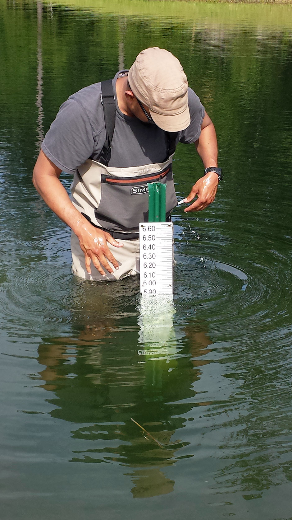 Ani installing a staff gage to measure water levels in a stormwater retention pond (Credit: Katie Jayakaran)