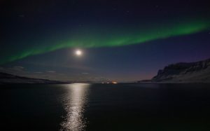 Light during the polar night in Svalbard, including light from the sun below the horizon, moonlight, aurora borealis, and artificial light