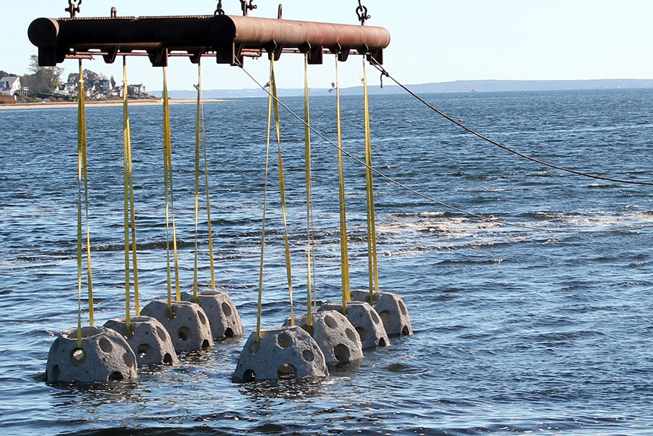 reef balls, which help with coastal restoration, being installed in upper Narragansett Bay