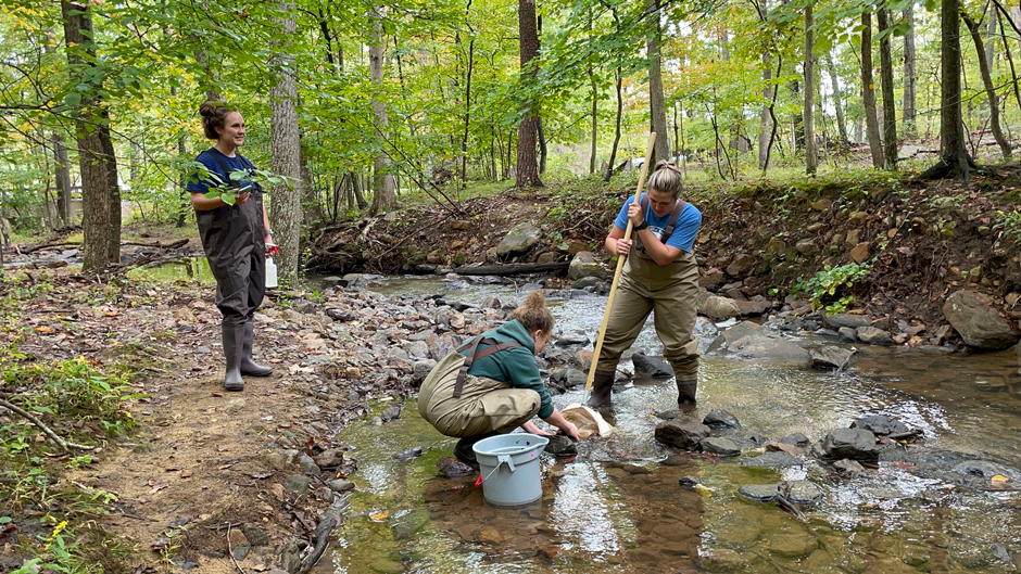 The CMC team conducting benthic macroinvertebrate monitoring at a small stream near Berkeley Springs, WV