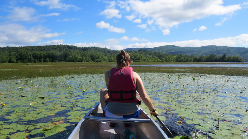 Twenty-four trained Weed Watcher volunteers took to Newfound Lake as part of the lake-wide Weed Stampede, surveying for invasive aquatic plants. During the two-day event, volunteers paddled 78.5 miles and surveyed over 60% of the lake’s near-shore area