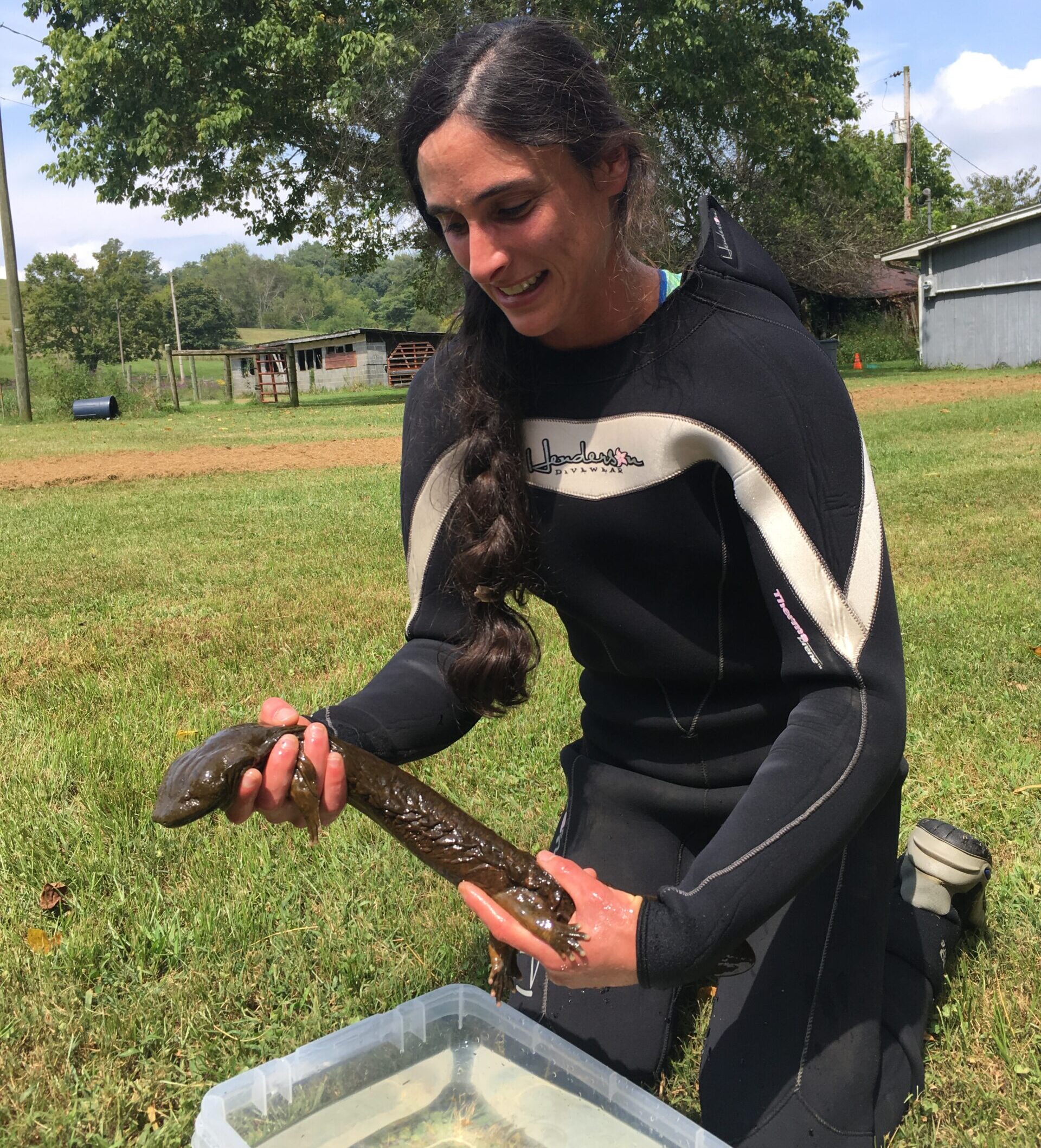 Researcher (Rebecca O'Brien) holding an Eastern Hellbender to measure its size and health