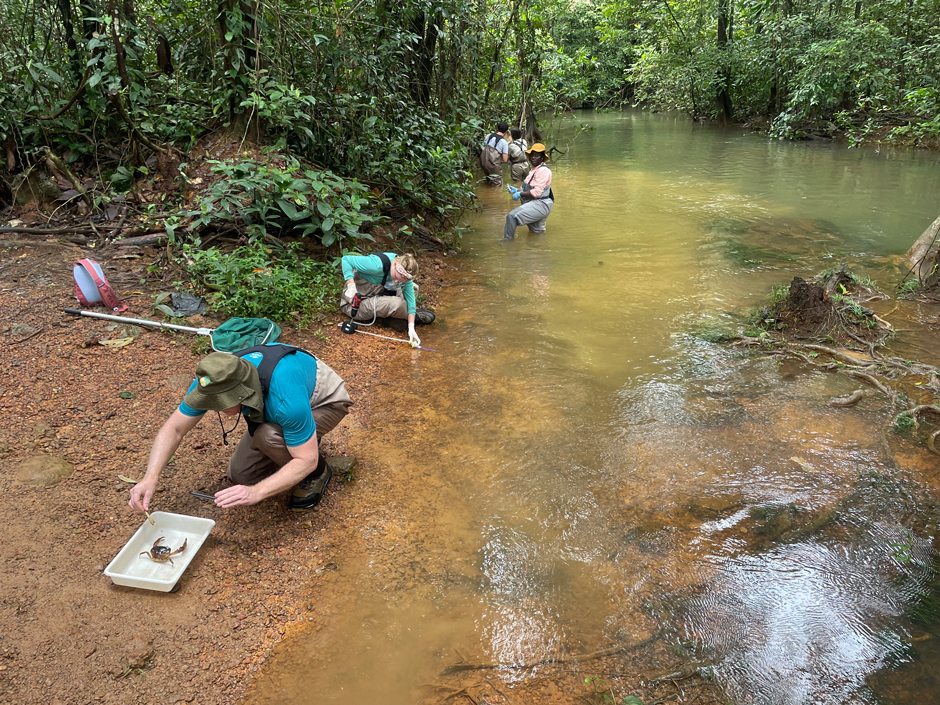 The research team doing a standardized sampling of fish, macroinvertebrates, suspended solids of the water column, sediments and water quality conditions. 