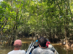 Entering some of the riverine wetlands of the Sinnamary River that are only accessible by boat.