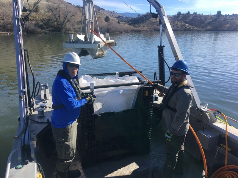 Sediment grab sampling for the studies done to evaluate the sediments for viability of planting vegetation after the dams are removed 