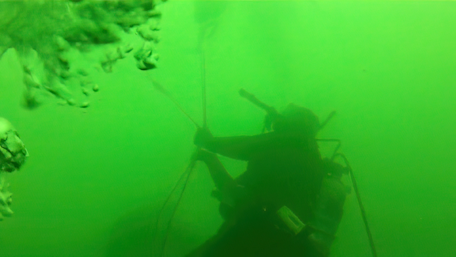 A Biological Field Station Volunteer Dive Team Dive Master LtCol Paul H. Lord checking the underwater cables hanging from the data buoy. This buoy will be used to monitor harmful algal blooms.