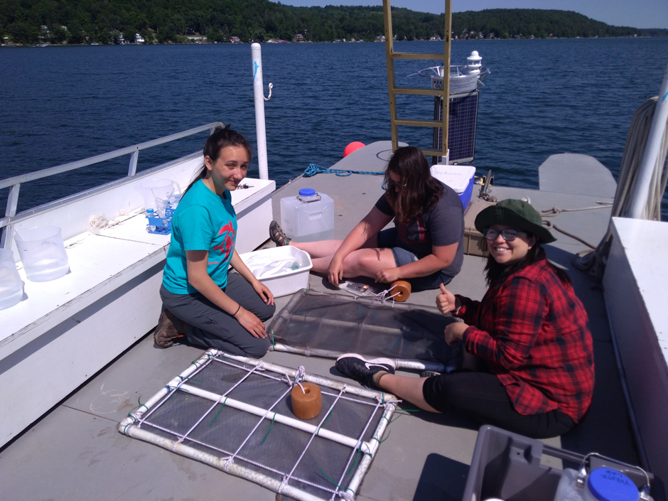 SUNY Oneonta students and an international summer intern setting up the microcosm experiment.