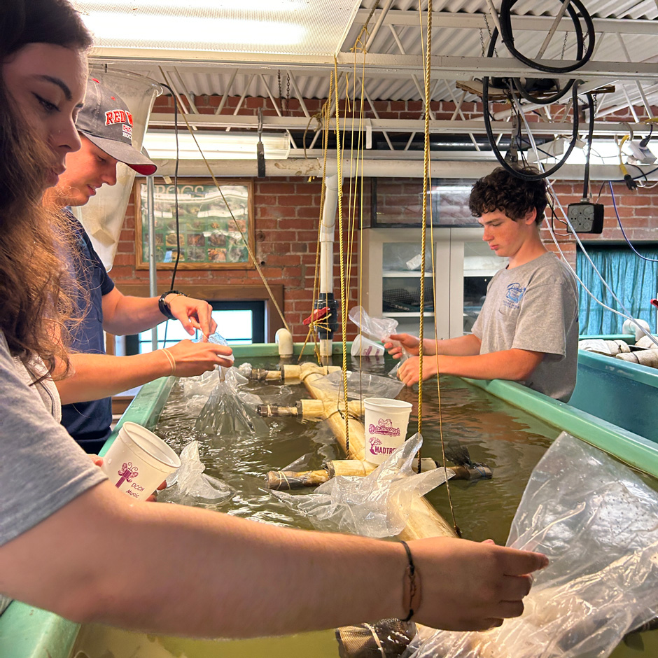 Thomas More University Biology Field Station interns acclimate fathead minnows (Pimephales promelas) to an Ohio River water tank. 