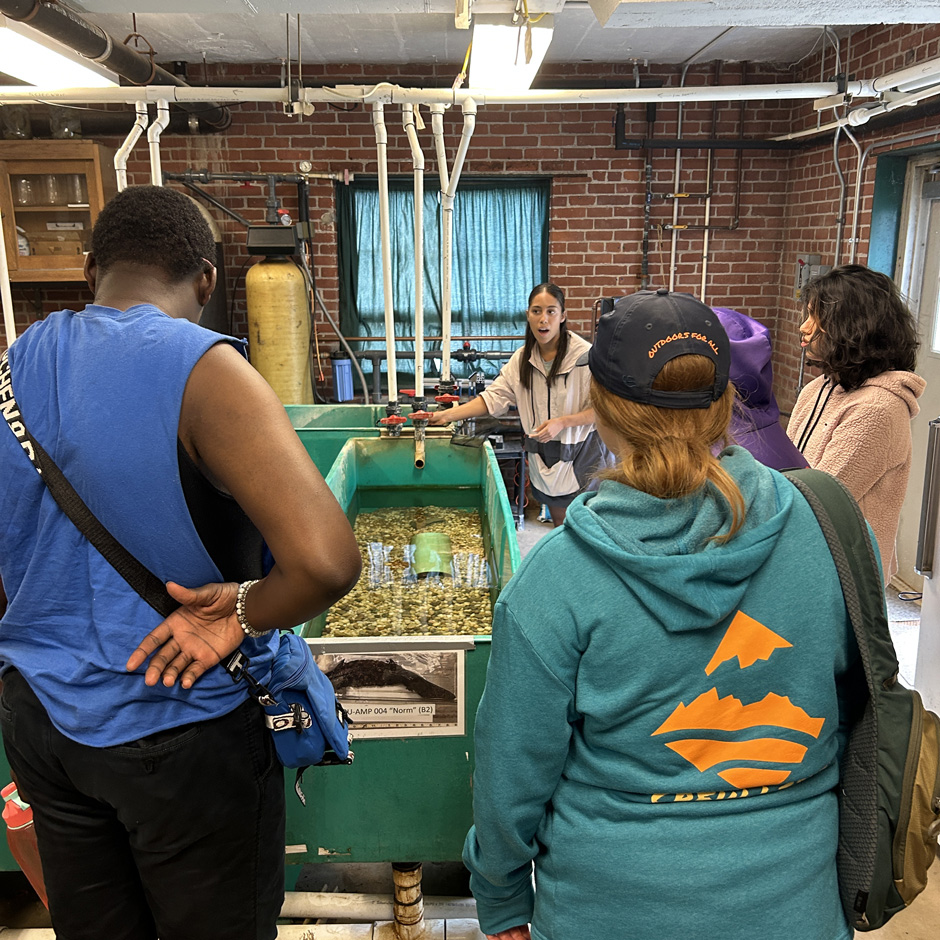 Field Station intern Paola Canales introduces visitors to the eastern hellbender (Cryptobranchus alleganiensis).