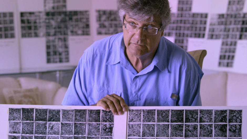 Porter being interviewed for the film Chasing Coral, in which he was Chief Scientific Advisor. 