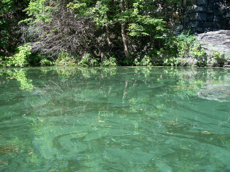 Surface algal bloom on Lake Lillinonah.