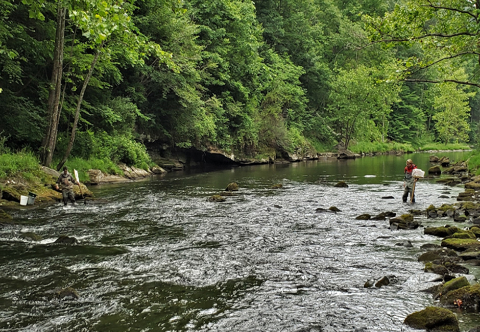 LRH Team members Thad Tuggle (L) and Nate Fleshman (R) collecting benthic macroinvertebrates along the Pound River below John W. Flannagan Reservoir, VA.