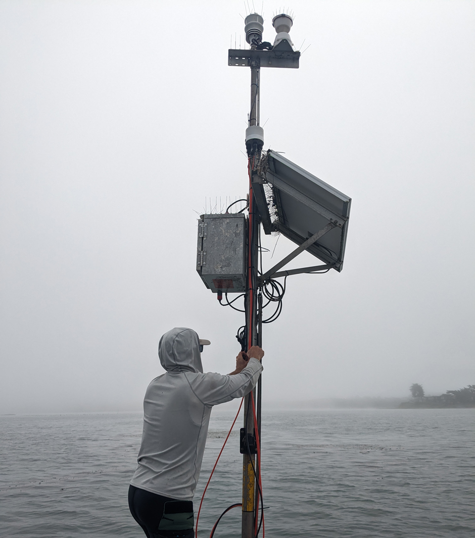 Senior Research Scientist Ian Robbins secures the station wiring after initial instrument and data logger deployment at BS1.