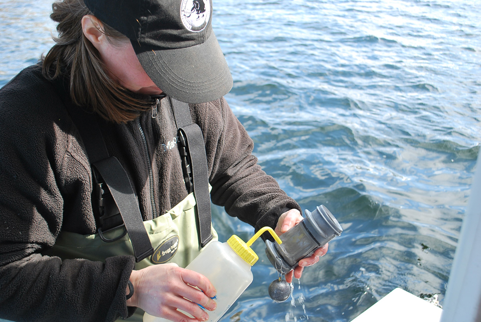 A staff member processing a zooplankton tow.