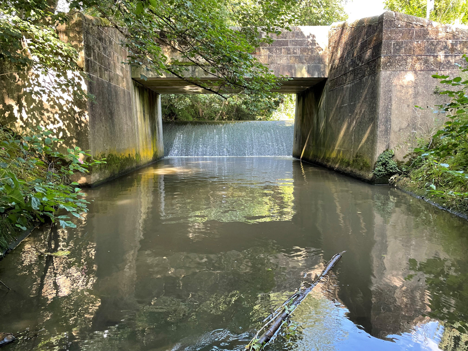 The Snake Lane Weir which negatively impacted freshwater habitats above and below the barrier.