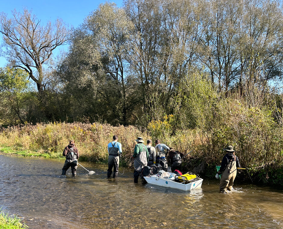 Barge electrofishing by state and federal employees prior to habitat restoration on Wiscoy Creek which is a tributary to the Genesee River. 