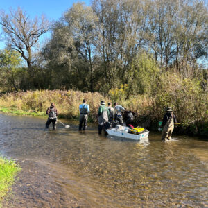 Barge electrofishing by state and federal employees prior to habitat restoration on Wiscoy Creek which is a tributary to the Genesee River. 